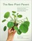 The New Plant Parent