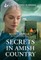 Secrets in Amish Country