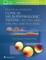 Practical Guide for Clinical Neurophysiologic Testing: Ep, Ltm/Cceeg, Iom, Psg, and Ncs/Emg