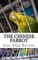 The Chinese Parrot