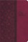 Study Bible-KJV