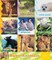 Baby Animals in the Wild