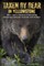 Taken by Bear in Yellowstone