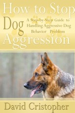How to Stop Dog Aggression: A Step-By-Step Guide to Handling Aggressive Dog Behavior Problem