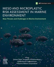 Meso and Microplastic Risk Assessment in Marine Environment