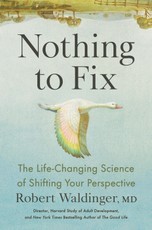 Nothing to Fix
