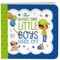 What Are Little Boys Made of