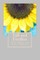 Fall and Fireflies (The Greg and Tara Sequel)