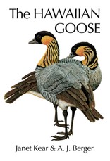 The Hawaiian Goose