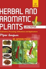 HERBAL AND AROMATIC PLANTS - 42. Piper longum (Long pepper)