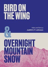 Bird on the Wing & Overnight Mountain Snow