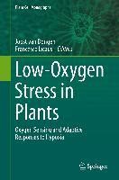 Low-Oxygen Stress in Plants