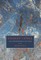 Stanley Cavell and the Potencies of the Voice
