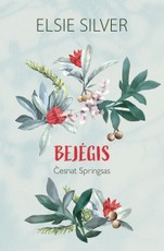 Bejėgis (Česnat Springsas, #3)