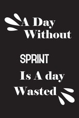 A day without sprint is a day wasted