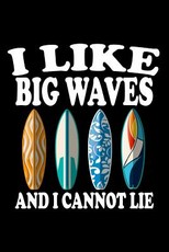I Like Big Waves And I Cannot Lie