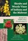 Shrubs and Woody Vines of Indiana and the Midwest (el. knyga)