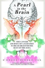 A Pearl in the Brain
