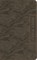 Niv, Boys' Bible, Leathersoft, Brown Camo, Thumb Indexed Tabs, Comfort Print