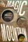 Mann, T: Magic Mountain