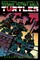 Teenage Mutant Ninja Turtles Color Classics, Vol. 1