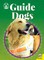 Guide Dogs