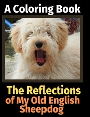 The Reflections of My Old English Sheepdog