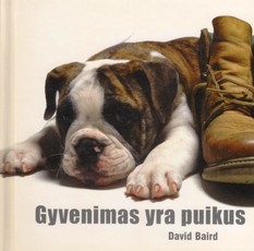 Gyvenimas yra puikus