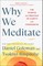 Why We Meditate