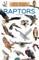 Raptors
