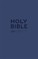 NIV Tiny Navy Soft-tone Bible with Zip