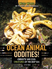 Ocean Animal Oddities!