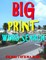 Big Print Word Search