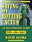 Saving My Rotting Cactus