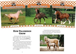 Horses (Set)