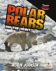Polar Bears on the Hunt