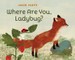 Where Are You, Ladybug?