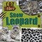 Snow Leopard