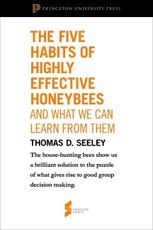 Five Habits of Highly Effective Honeybees (and What We Can Learn from Them)