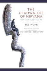 The Headwaters of Nirvana