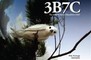 3B7C