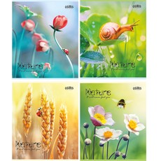 Sąsiuvinis „Nature“, 48 lapų, langeliais