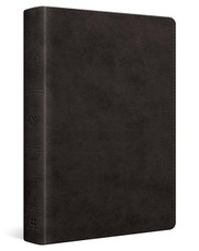 ESV Wide Margin Reference Bible, Red Letter