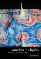 Wavelets in Physics
