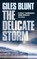 The Delicate Storm