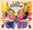 Late Bloomer