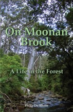 On Moonan Brook