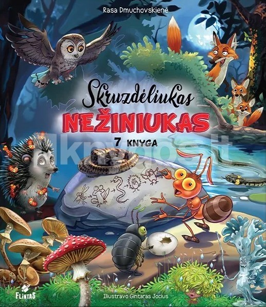 新品未開封 7SHM-CD+DVD SONHOUSE THE CLASSICS Skruzdėliukas Nežiniukas. 7 knyga | Knygos.lt
