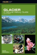 Glacier