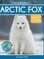 Arctic Fox